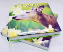 Colorful Illustrated Encyclopedia: Nature's Wonders in Custom Printed Hardcover Book