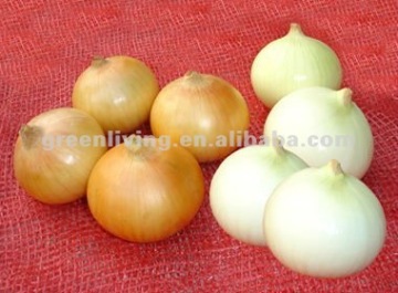 Yellow peeled fresh onion