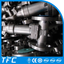 ss stainless steel cryogenic gate valve
