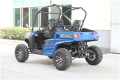 รถยนต์มินิ 500CC UTV