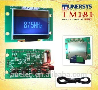 fm radio usb sd card reader module TM181