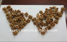 Chinese walnut kernels LQ