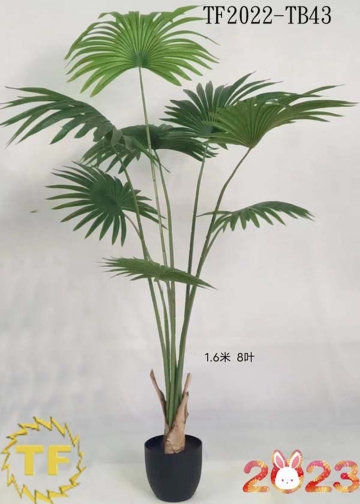 64"Wall Palm x 8 tree