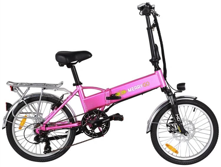 Two Wheel City Ebike Electric Bike for Adult