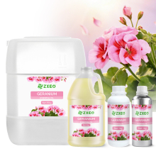 Provide Geranium Essential Oil In Bulks 100% Pure & Nature