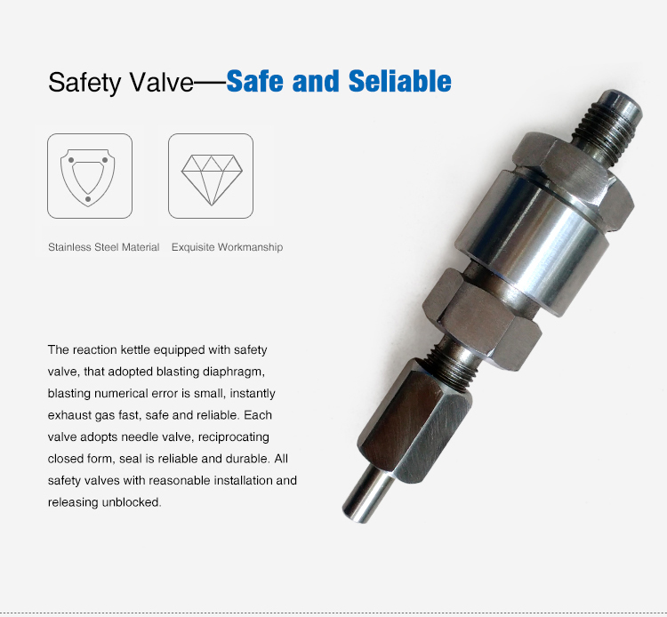 Lab Small Chemical High Temperature and Pressure Reaction Vessel