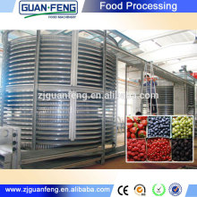 High Quality Customized Design Quick Freezing Machine Continuous Freezer Ice Cream