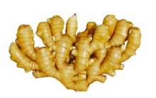 SELECTED HIGH QUALITY FRESH FAT YELLOW GINGER