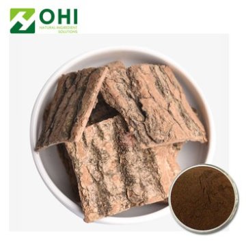 Eucommia Ulmoides Extract Chlorogenic acid