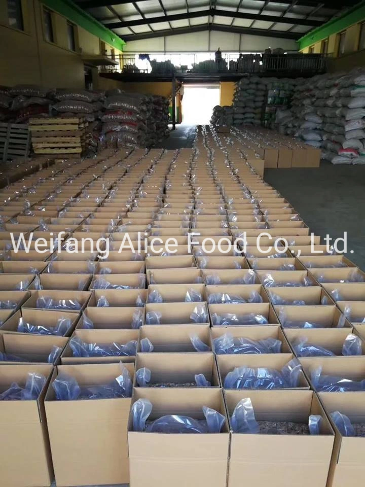 Top Quality of Walnut Kernels From China