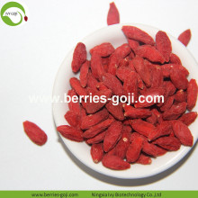 Factory Supply Variety Pack Fruktprodukter Goji Berry