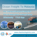 FCL Freight From Shantou To Port Kelang