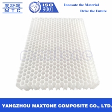 8mm Cell Size Polypropylene Honeycomb Core