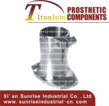 Socket Adapter Prosthetic