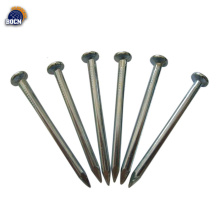 galvanized common wire nails