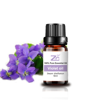  Violet Essential Oil for Body,Skin