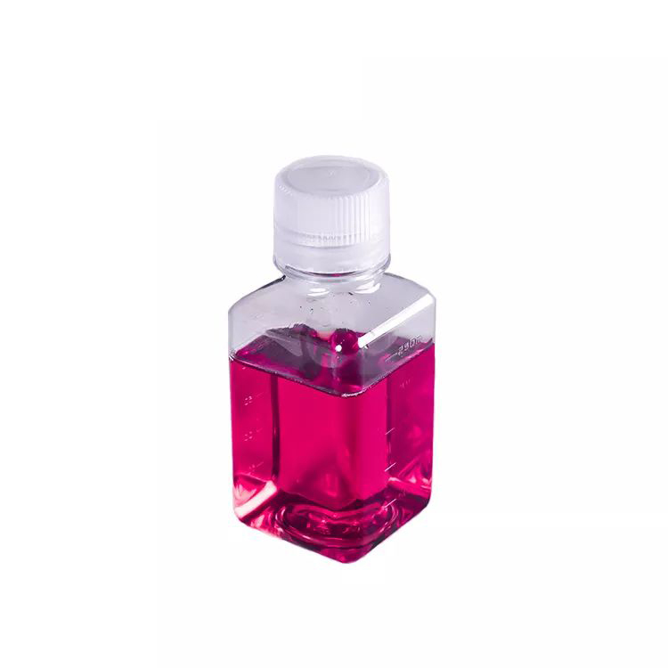 500ML 1000ML Laboratory Wide Mouth Screw Top Transparent Square Sterile Reagent Bottle Media Storage bottle for sale