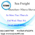 Shenzhen Port Sea Freight Shipping To Nhava Sheva