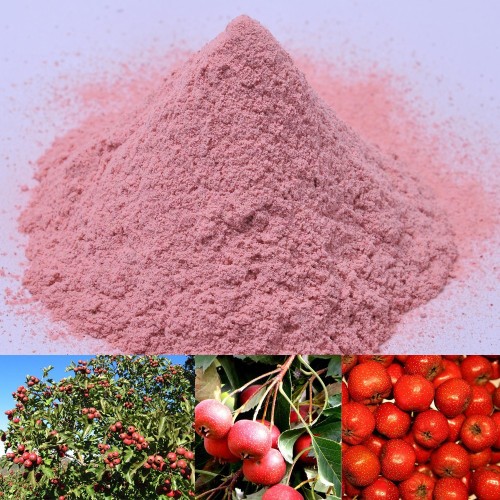 Freeze dried fruit powder,Freeze dried hawthorn berry powder