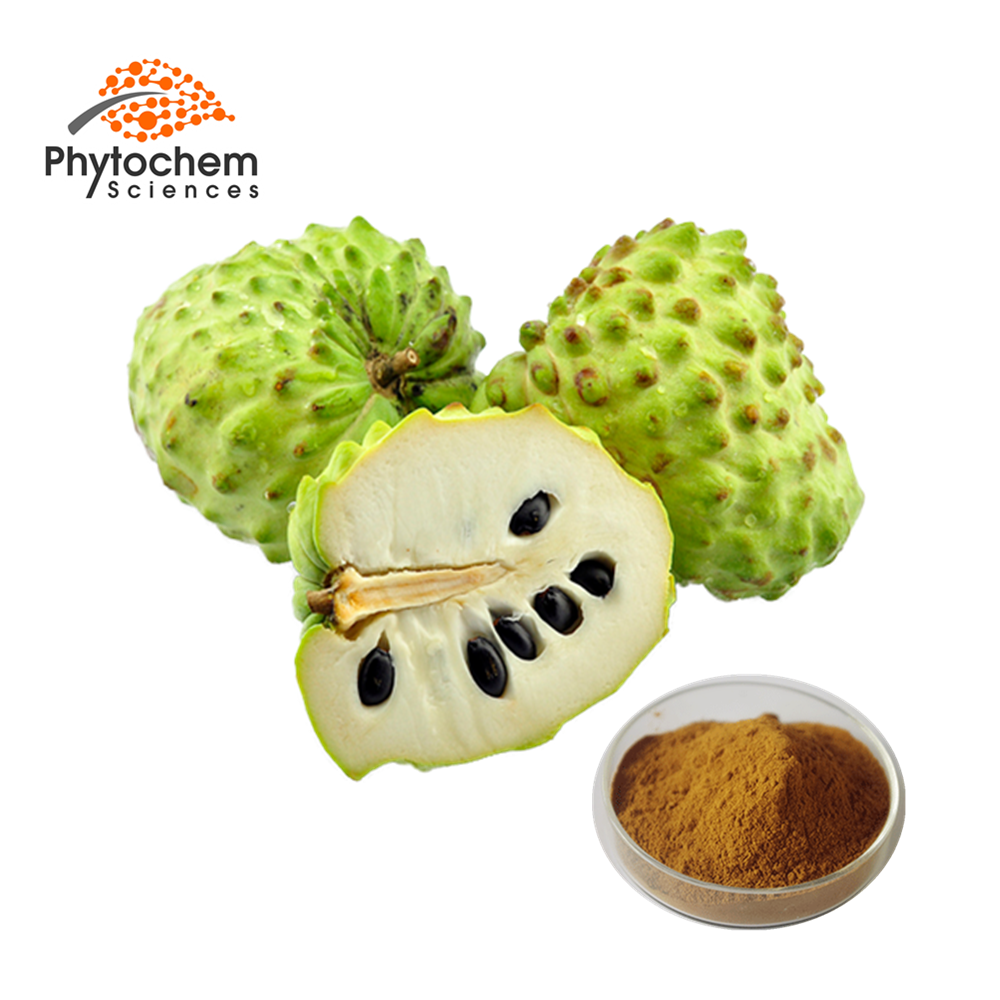 organic quality annona muricata fruit extract