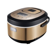 Digital multi function cooker (Zhongshan factory)