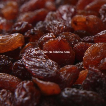 Sultana raisin in dried fruit sultana 2015 new crop