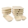 Bagasse Take Away Container Composterable Paper Environment