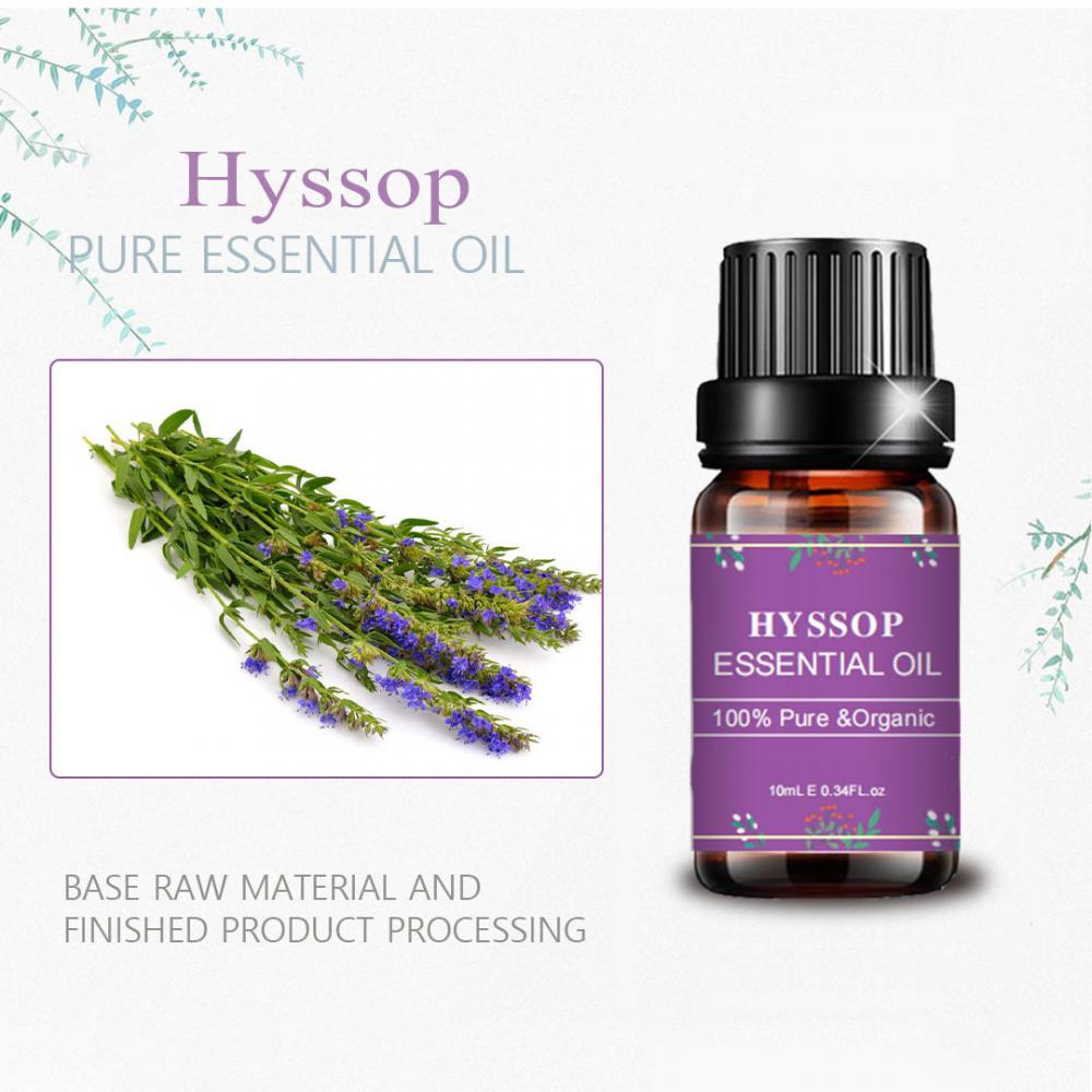 Aromatherapy Hyssop Mafuta muhimu kwa mapambo ya utunzaji wa ngozi