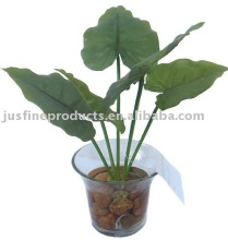 Silk Bonsai ( Arum 5 Leafs with Pebbles in Acrylic Water )