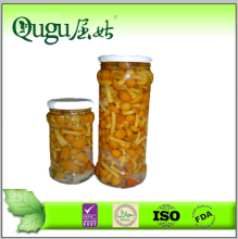 wholesale the best quality canned nameko mushroom