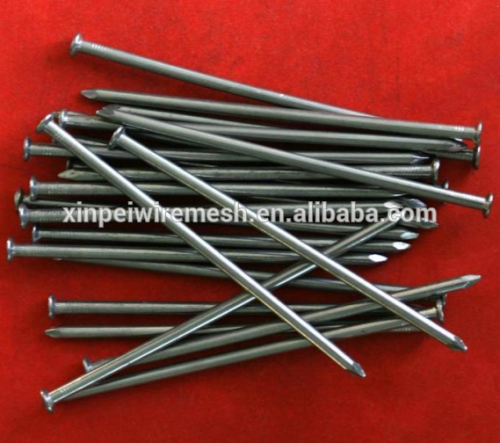 iron nail 1''-6''/ cheap price iron wire nail /iron nail common nail (lowest price )