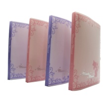 Striped A4 PP Folder with Pocket - Transparent Plastic Folder for School and Office