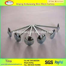 1/2" or 1-3/4" steel Q195 wire nail ,iron nails,china roofing nails