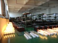 1000W Alenson Sentinel Generator