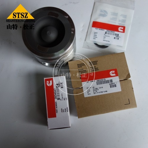 4VBE34RW3 QSB6.7 QSB5.9 MOTOR TEILE PISTON 3802927