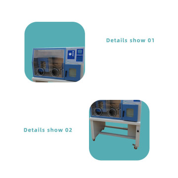 Anaerobic incubator with eliminate oxygen catalys