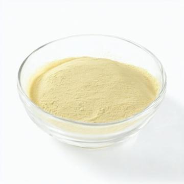 Top Quality Organic Freeze Dried Orange Juice Powder