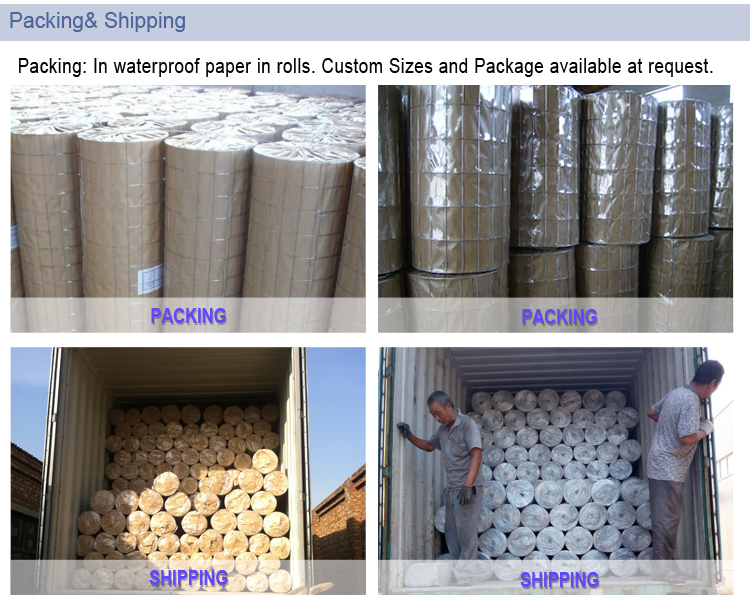 Factory Direct Supply Galvanized & PVC Coated Welded Wire Mesh in roll
