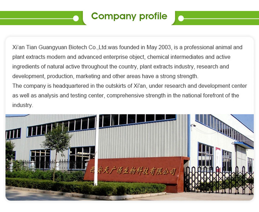 Company Profile