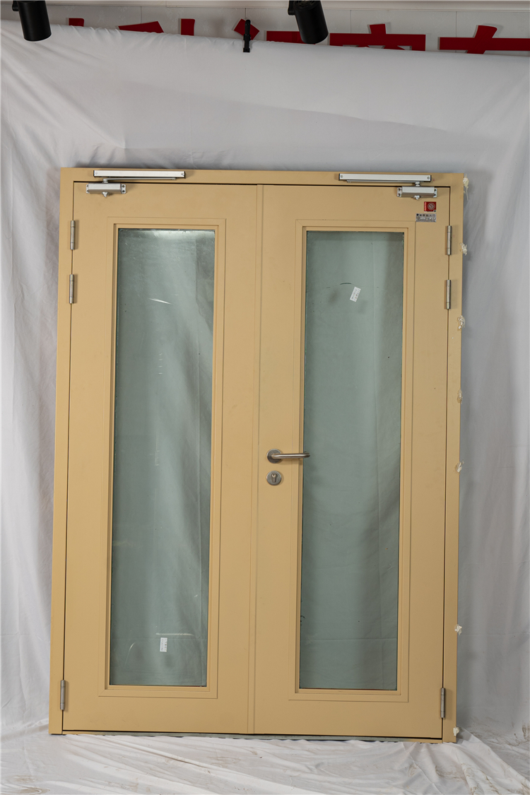 Factory Wholesale Class A Glass Window Fire Proof Door