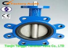 Cast Iron EPDM Ruuber Lined Concentric Wafer Lug Type Butte