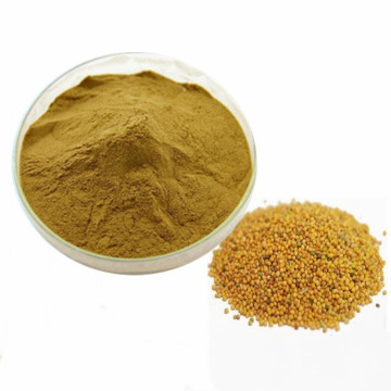 Free Sample Mustard Seed Extract