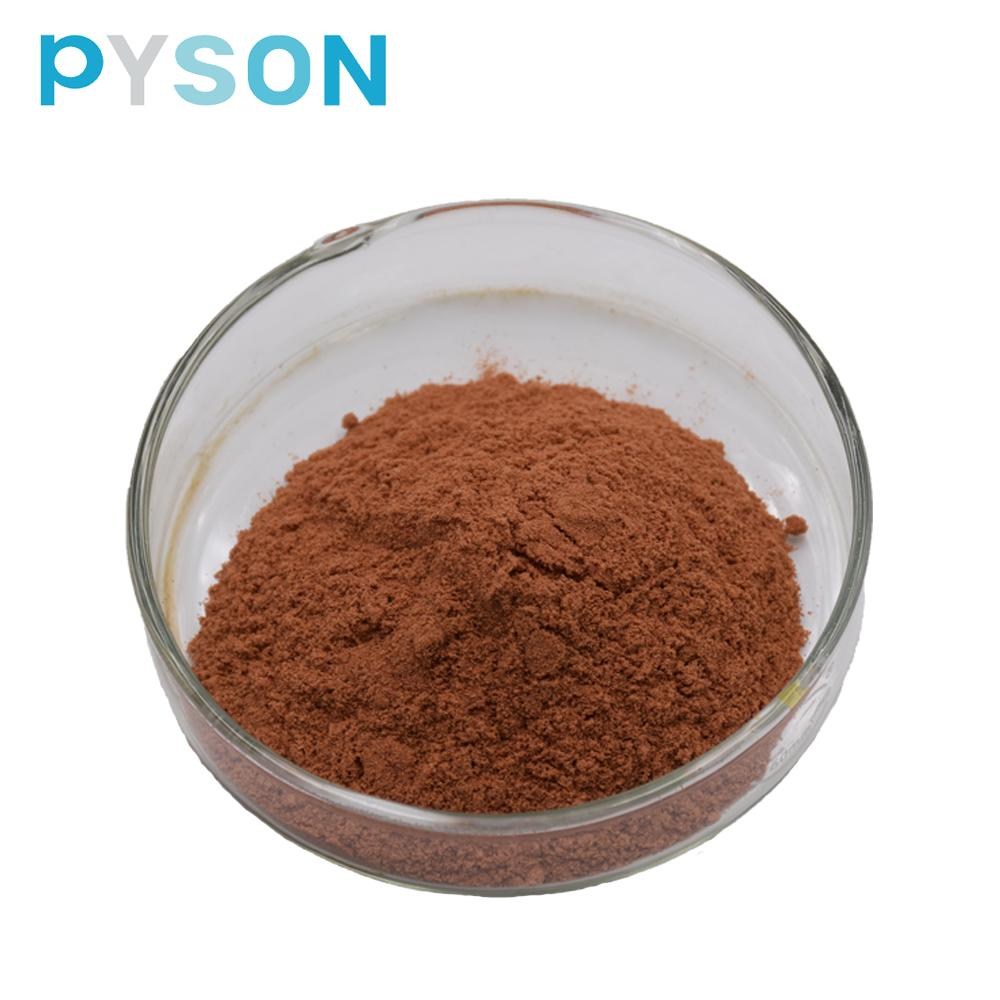 Cinnamon Bark Extract