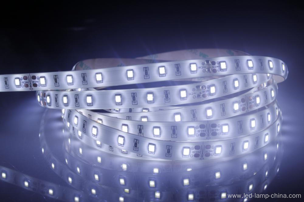 Brightness White 60leds SMD2835 Led Strip Light