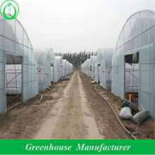 high tunnel greenhouse tunnel drivhus