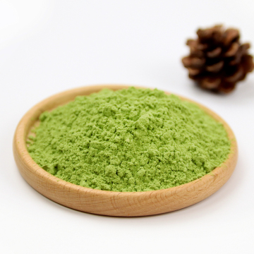 Organic Dehydrated Broccoli in Powder Form