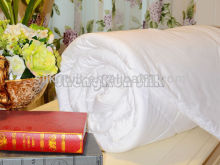 Oeko--certification 100% bamboo quilt /duvet/comforer white