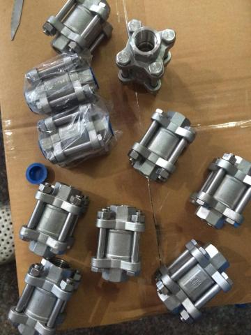 Piston Check Valve