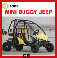 110cc 2 zetels Mini Buggy voor kinderen