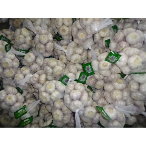 Hot Sale Normal Knoblauch 2020